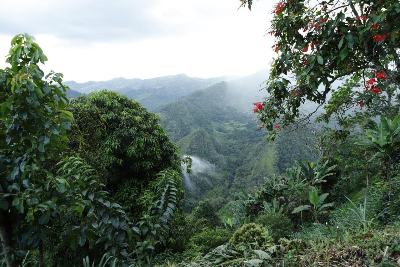 Ecohotel Monteverde لا فيغا المظهر الخارجي الصورة