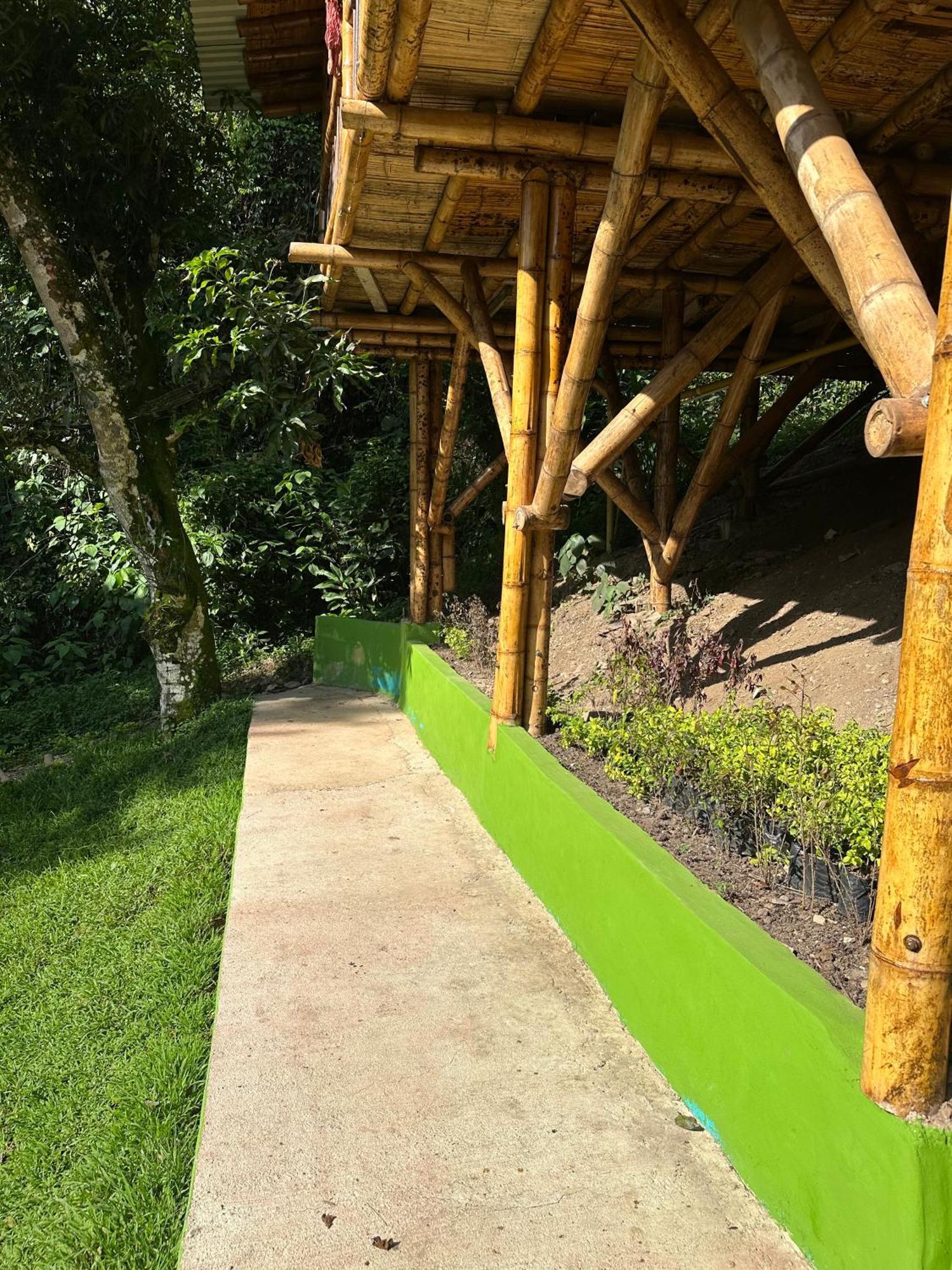 Ecohotel Monteverde لا فيغا المظهر الخارجي الصورة