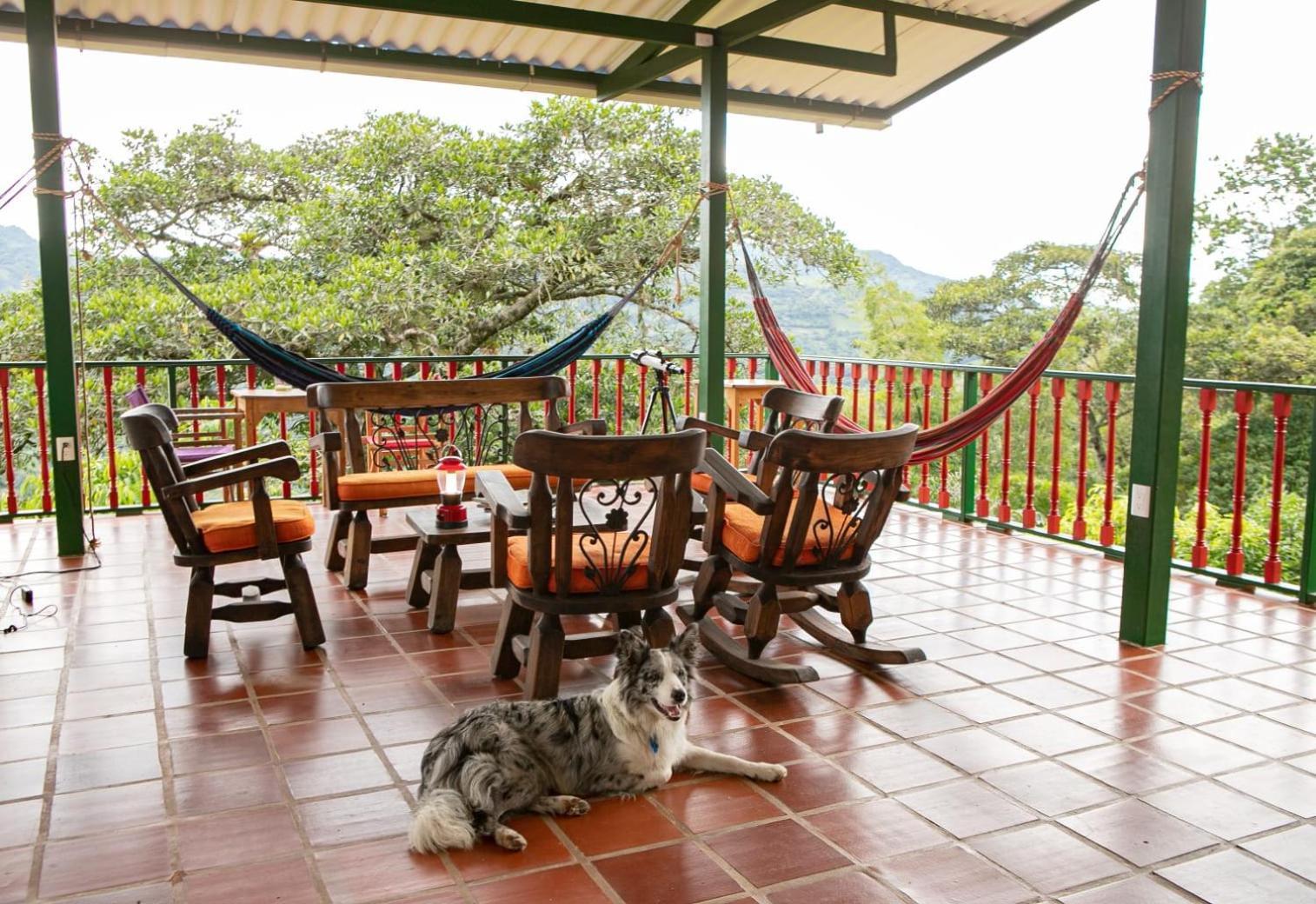Ecohotel Monteverde لا فيغا المظهر الخارجي الصورة