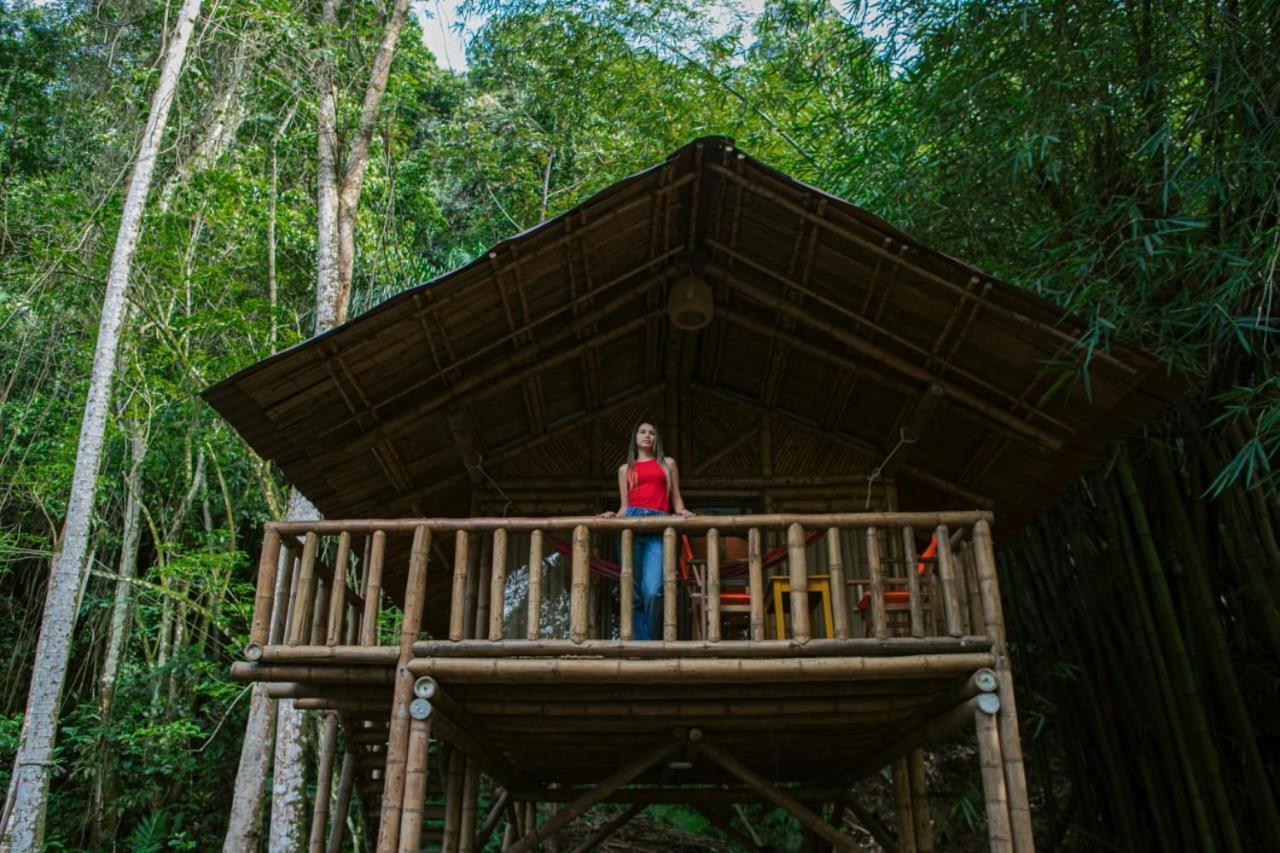 Ecohotel Monteverde لا فيغا المظهر الخارجي الصورة