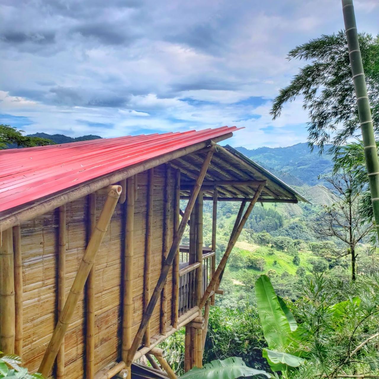 Ecohotel Monteverde لا فيغا المظهر الخارجي الصورة