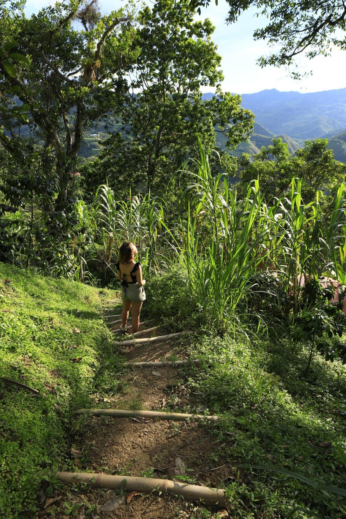 Ecohotel Monteverde لا فيغا المظهر الخارجي الصورة