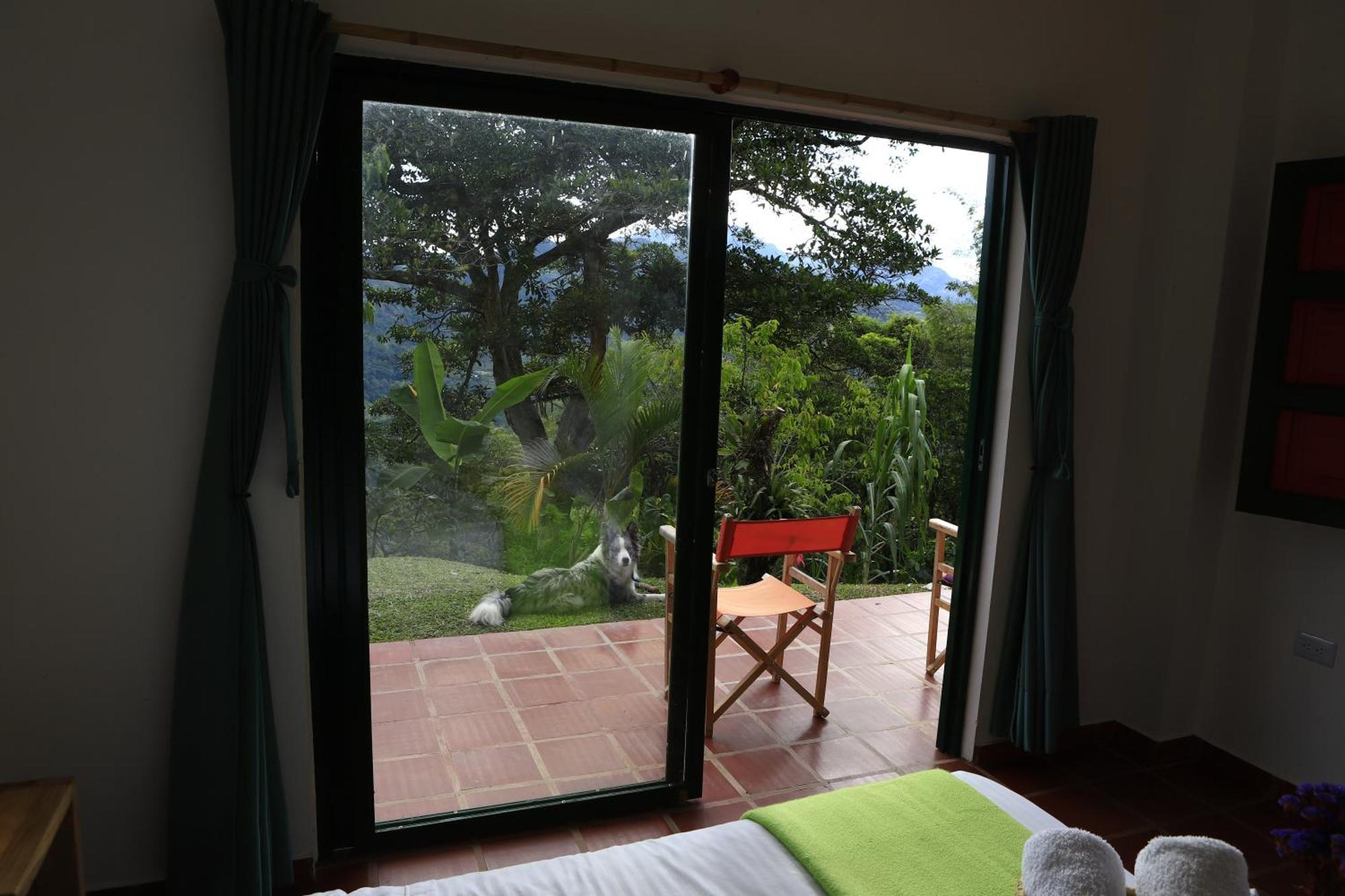 Ecohotel Monteverde لا فيغا المظهر الخارجي الصورة